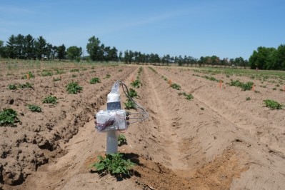 A sensing rod installed in soil at UW–Madison’s Hancock Agricultural Research Station. Photo by Kuan-Yu Chen