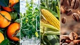 Climate-Smart Agri-Food innovation and investment strategies in Mexico