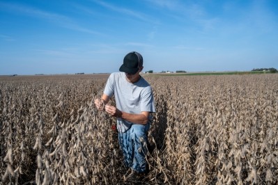 PepsiCo has a business stake to attract young people to the sector and support a resilient supply chain. Image: Getty/DS70