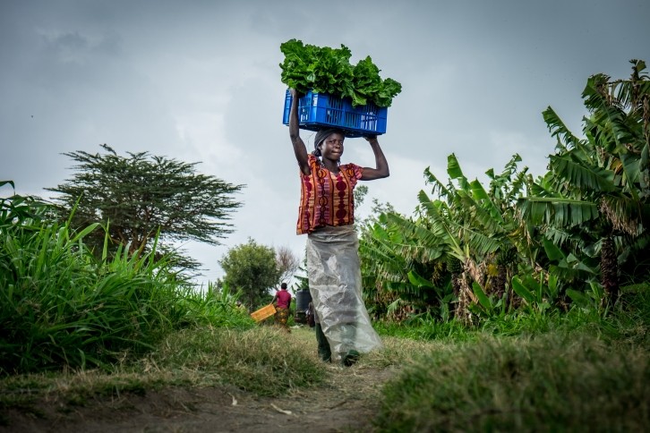 Double benefits: Climate change adaption leads to greater food security for Kenyan farmers © Getty Images