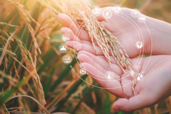 Machine momentum: Real-time crop disease monitoring system may empower sub-Saharan African farmers © Getty Images